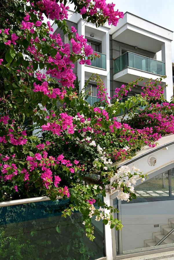 Royal Palm Daire Bodrum