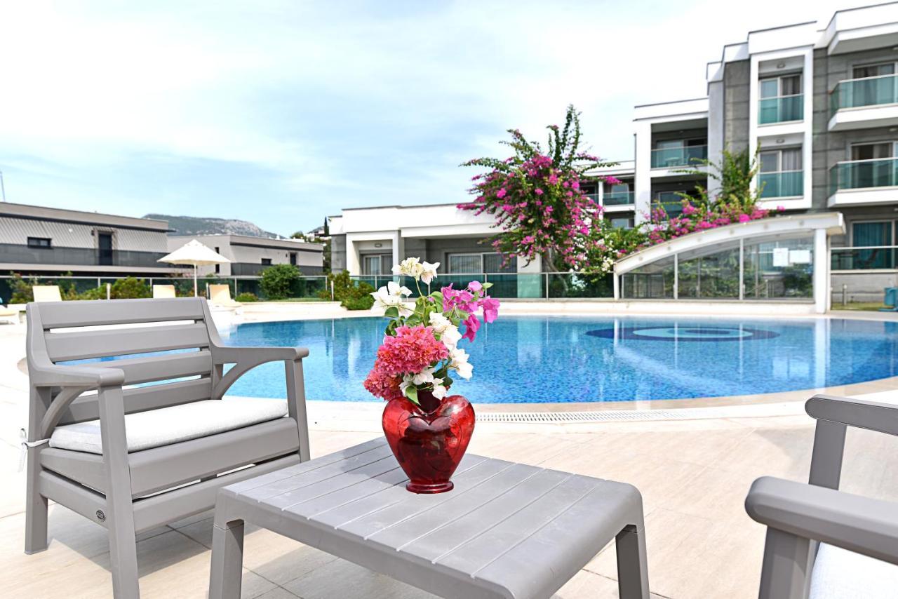 Royal Palm Daire *