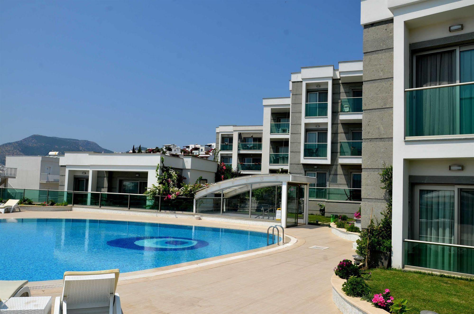 Royal Palm Daire